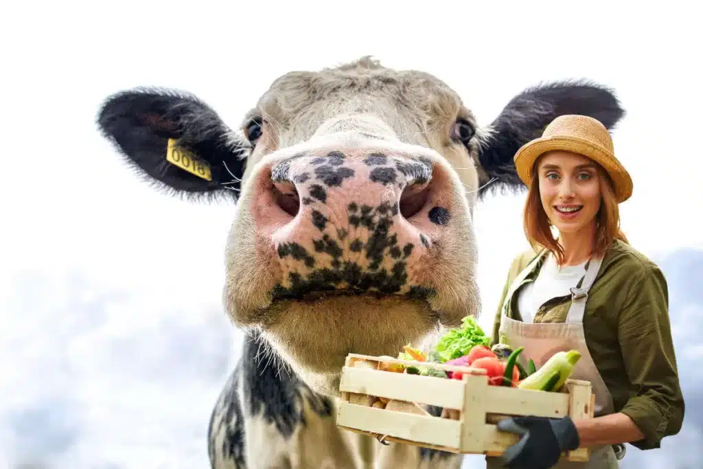 La méthanisation agricole : tout ce que vous devez savoir