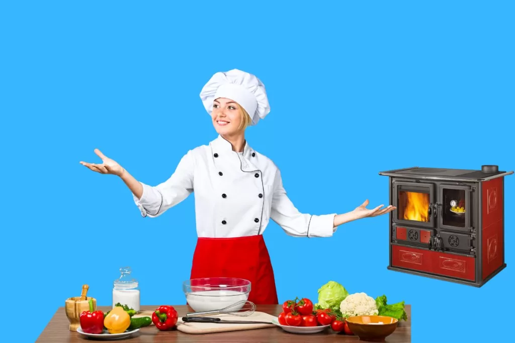 Explorez le monde des cuisinières à bois, à granulés, ou même mixtes.