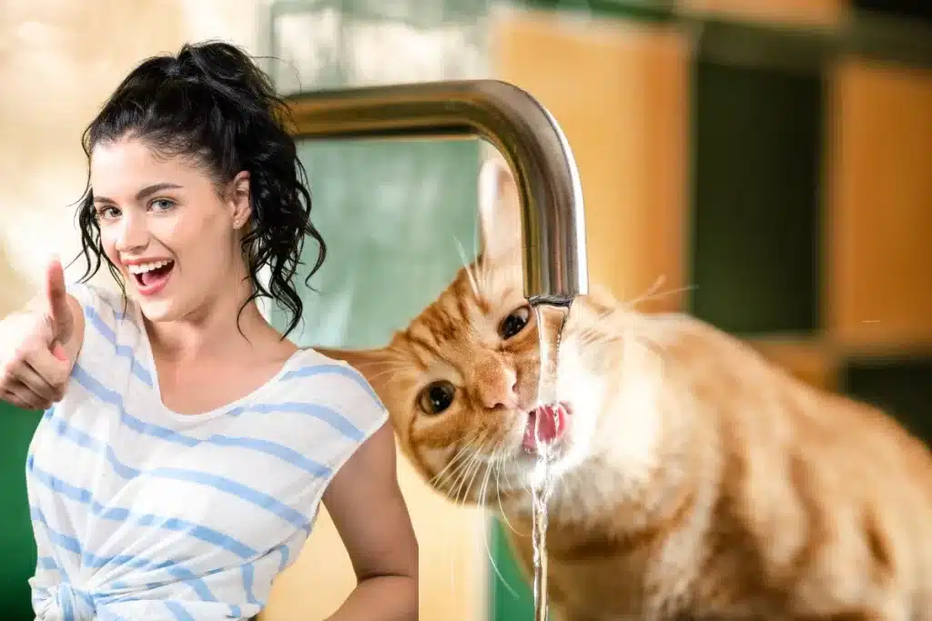 Douche, bain, vaisselle, machine à laver… Découvrez comment réduire vos factures d'eau avec des astuces simples