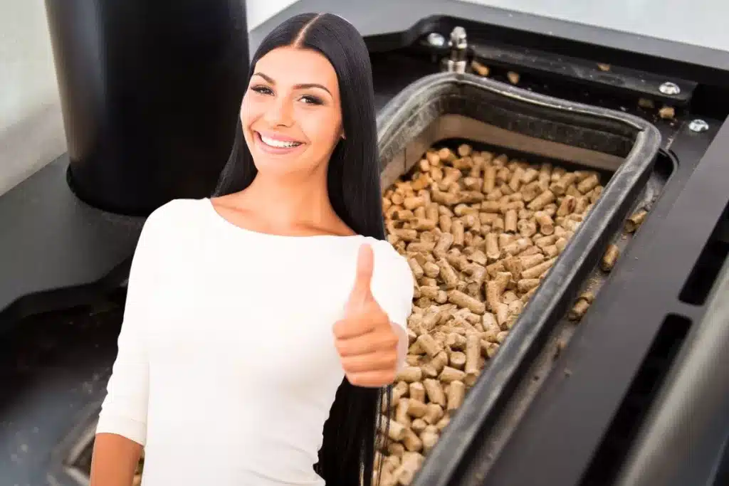 Guide complet pour bien choisir ses granulés de bois : le classement des meilleurs pellets