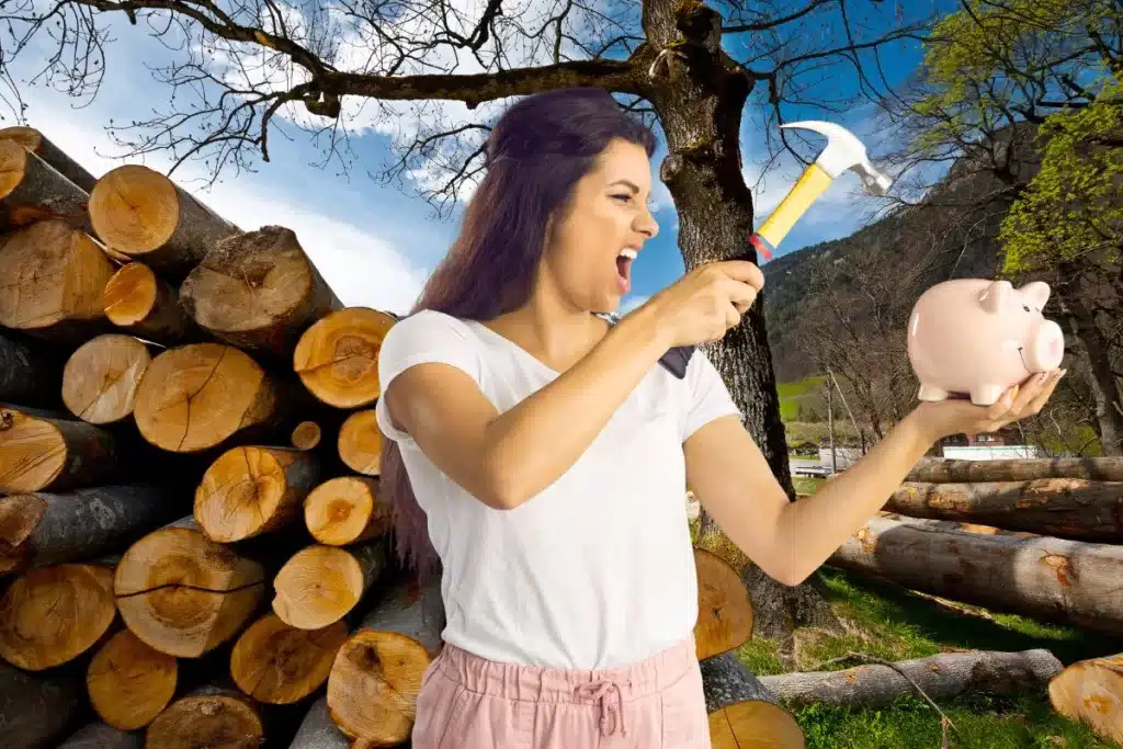 La recherche de bois de chauffage en Corrèze est devenue un véritable défi ces derniers temps. Entre l'augmentation des prix et l'épuisement des stocks, de nombreux particuliers risquent de manquer de bois d'ici la fin de l'hiver.