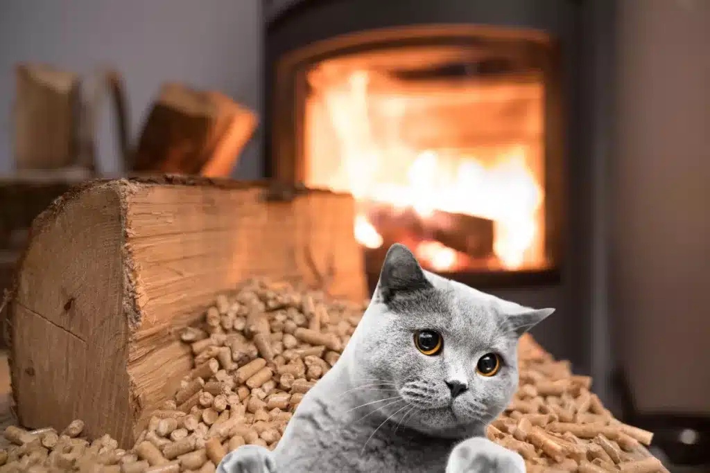 Fermer votre foyer ou poêle à bois, constitue la première étape pour assurer la sécurité de vos animaux. Les braises et les étincelles ne s'échappent pas de l'âtre et vos animaux aventureux sont protégés des flammes. Pensez à laisser le poêle à bois fermé, même quand il est éteint.