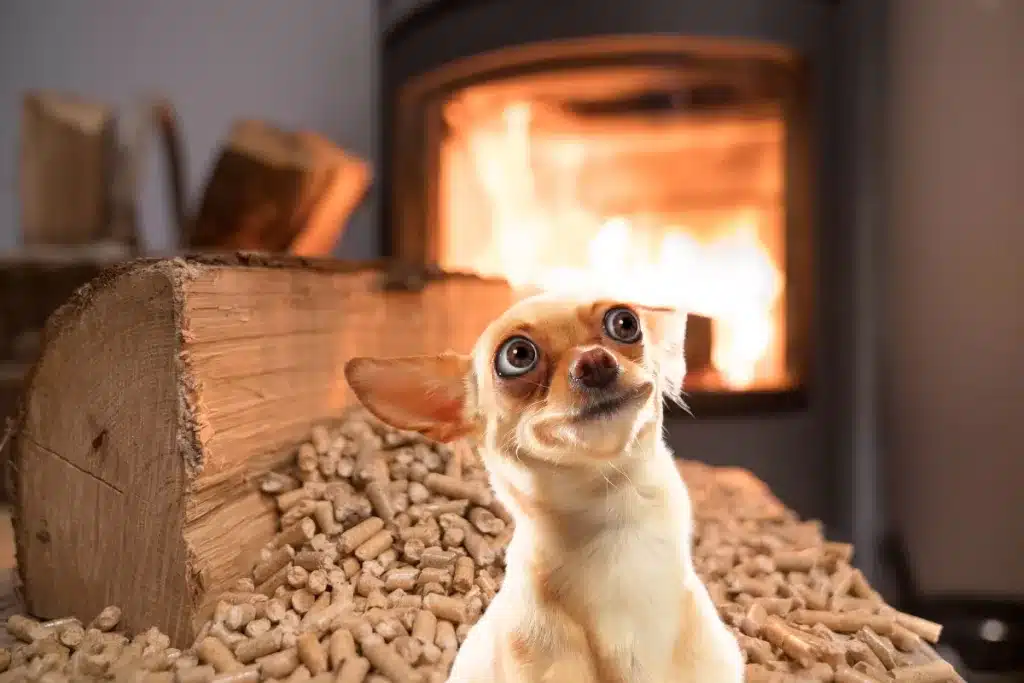 Où sont les dangers de brûlures du chien ? Les dangers pour votre chien vont se situer dans des pièces comme la cuisine avec les appareils tels que le four et les plaques de cuisson. Les pièces qui possèdent une cheminée ou un poêle sont également dangereuses pour votre chien, qui ne connait pas la dangerosité de l’élément.