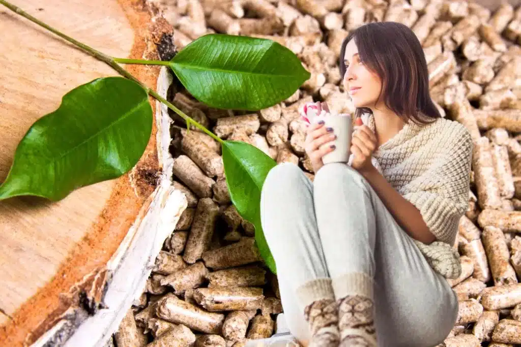 De plus en plus de foyers français investissent dans l'installation d'un poêle à pellets pour se chauffer l'hiver, pour des raisons écologiques et économiques. Très performante, cette solution de chauffage permet de réduire votre empreinte carbone ainsi que vos factures d'énergie.