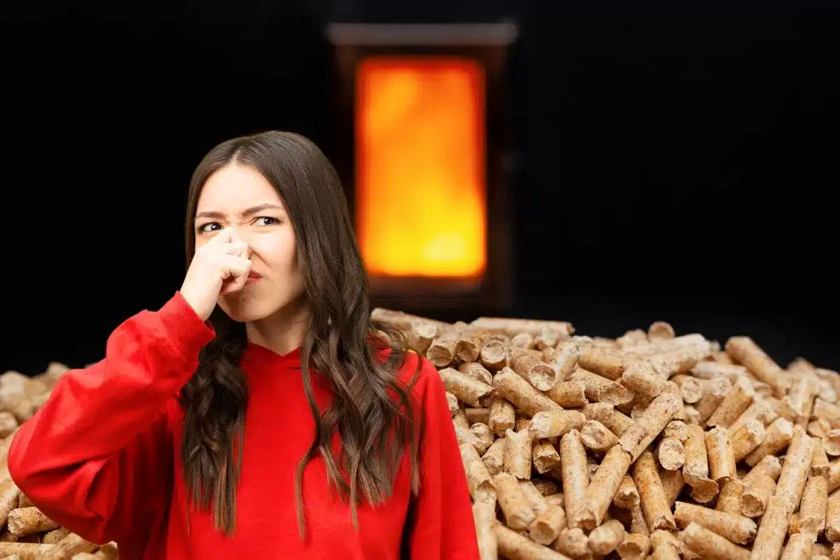 Pourquoi mon poêle à granulés sent la fumée ?Le poêle à bois (bûche ou granulé) n'a pas été installé correctement. Le conduit de cheminée ou les parois sont encrassés ou obstruées par des débris, de la suie, des cendres ou des nids d'oiseaux, et refoulent la fumée vers l'intérieur.