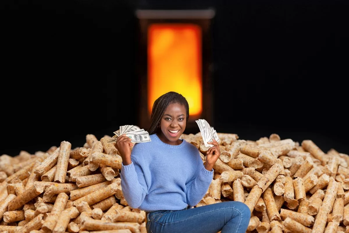 Prix du pellet : évolution de la tonne de granulés de bois au fil des saisons
